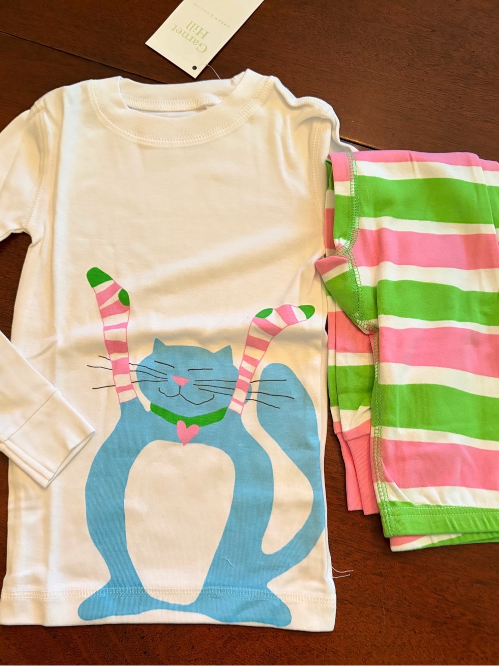 Garnet Hill Pajamas with Whimsical Blue Cat and Pink & Green Striped Pants